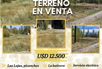 Terrenos en  Las Lajas, Neuquen Provincia