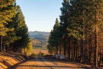 Terrenos en  Lácar, Neuquen