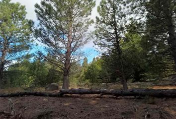 Terrenos en  Lácar, Neuquen