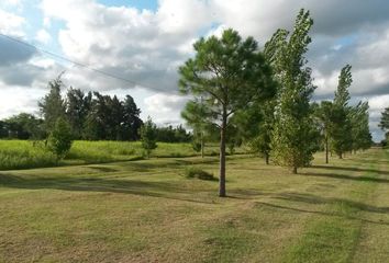 Terrenos en  Cayastá, Santa Fe