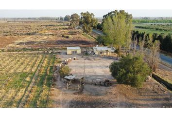 Quinta/Finca en  Costa De Araujo, Mendoza