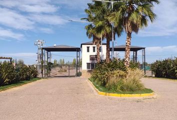 Terrenos en  Maipú, Mendoza