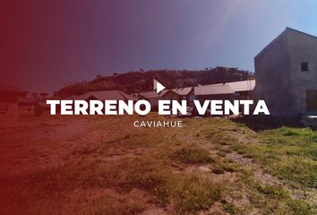 Terrenos en  Caviahue-copahue, Neuquen