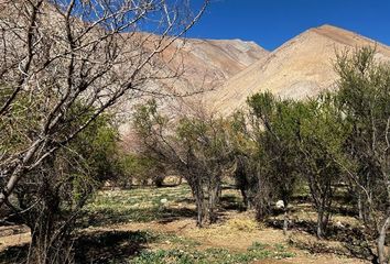 Parcela en  Paiguano, Elqui