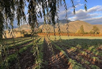 Parcela en  Paine, Maipo