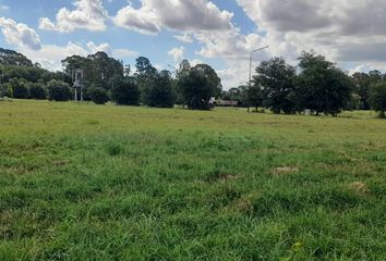 Terrenos en  General Pico, La Pampa