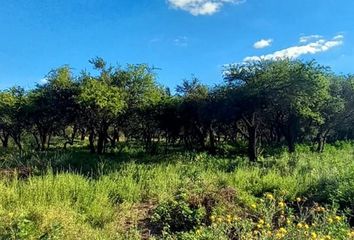 Terrenos en  Toay, La Pampa