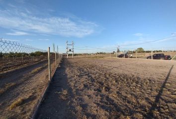 Terrenos en  Rivadavia, Mendoza