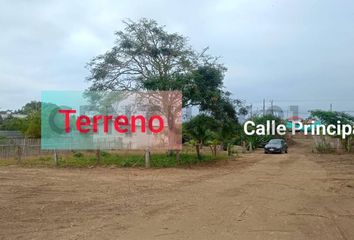 Terreno Comercial en  Puerto De Cayo, Jipijapa