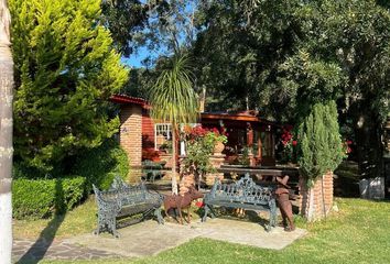 Rancho en  Avenida Hidalgo, Centro, Chapa De Mota, México, 54350, Mex