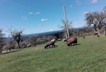 Parcela en  Puerto Montt, Llanquihue