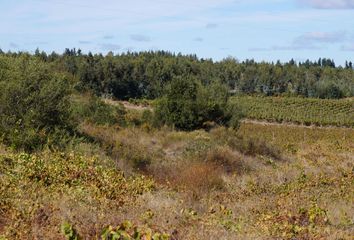 Parcela en  San Nicolás, Ñuble (región)