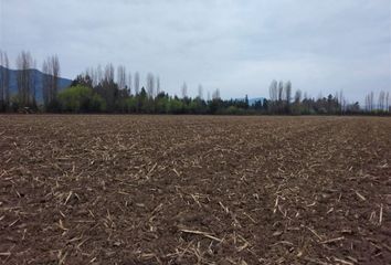 Parcela en  San Vicente, Cachapoal