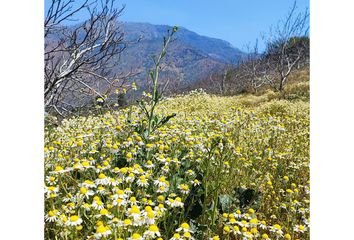 Parcela en  Tiltil, Chacabuco