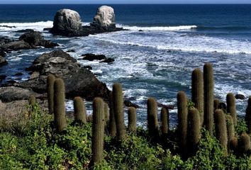 Parcela en  Pichilemu, Cardenal Caro