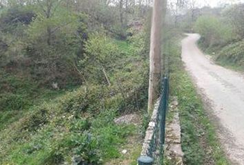 Terreno en  Cangas De Onis, Asturias