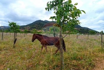 Parcela en  Santa Cruz, Colchagua