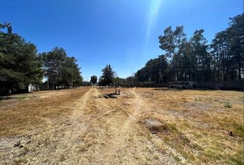 Lote de Terreno en  Acolman, Estado De México