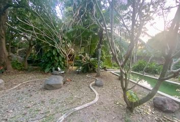 Lote de Terreno en  Rancho O Rancheria Cofradía De Suchitlán, Comala