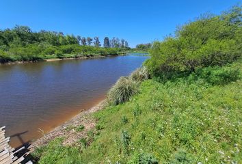 Terrenos en  Villa Paranacito, Entre Ríos