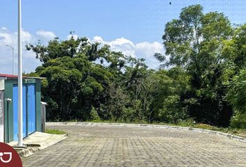 Lote de Terreno en  Calle Principal 40-92, Zimpizahua, Coatepec, Veracruz De Ignacio De La Llave, 91601, Mex