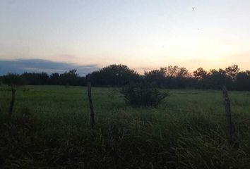 Lote de Terreno en  Elotes El 'don', Santa María, Santa María Pesquería, Pesquería, Nuevo León, 66693, Mex