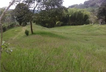 Villa-Quinta en  Calarcá, Quindío