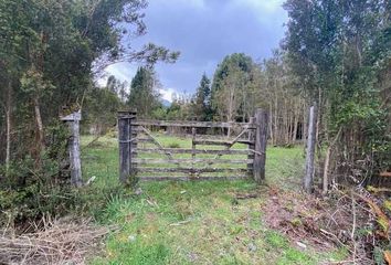 Parcela en  Cochamó, Llanquihue