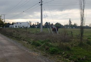 Parcela en  Chillán, Ñuble (región)