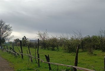 Parcela en  Bulnes, Ñuble (región)