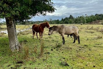 Parcela en  Puerto Montt, Llanquihue