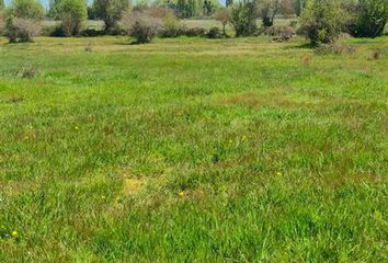 Parcela en  Parral, Linares