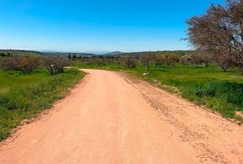 Parcela en  Marchihue, Cardenal Caro