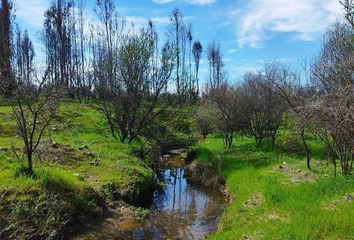 Parcela en  San Nicolás, Ñuble (región)