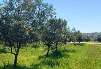 Parcela en  Marchihue, Cardenal Caro