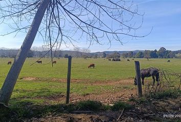 Parcela en  Vichuquén, Curicó