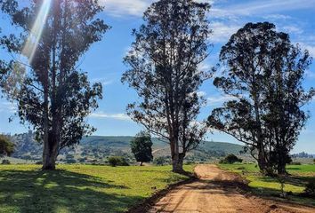 Parcela en  Vichuquén, Curicó