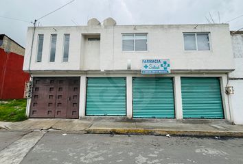 Departamento en  San Luis Mextepec, Zinacantepec