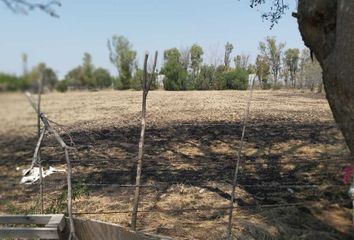 Lote de Terreno en  Calle Pirules, Punta De Obrajuelo, Valle Verde, Apaseo El Grande, Guanajuato, 38183, Mex