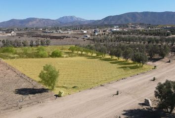 Lote de Terreno en  Calle Principal, Francisco Zarco, Ensenada, Baja California, 22750, Mex