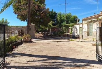 Chalet en  La Marina Del Pinet, Alicante Provincia