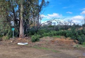 Terreno en  Guillena, Sevilla Provincia