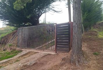 Casa en  Paredones, Cardenal Caro