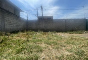 Lote de Terreno en  Calle Federación 1610-1618, Colonia Santa Ana Tlapaltitlán, Toluca, México, 50160, Mex