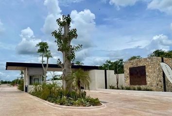 Lote de Terreno en  97334, San Ignacio, Yucatán, Mex