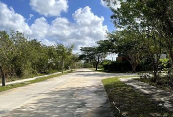 Lote de Terreno en  Temozón Norte, Mérida, Yucatán, Mex