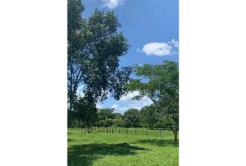 Lote de Terreno en  Santa Rosa, Bolívar