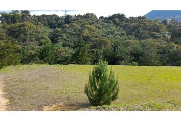 Lote de Terreno en  Rionegro Antioquía