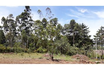 Lote de Terreno en  Rionegro Antioquía