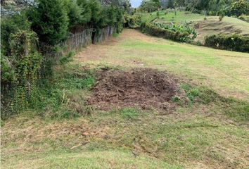 Lote de Terreno en  Rionegro Antioquía